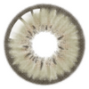 alt-tag