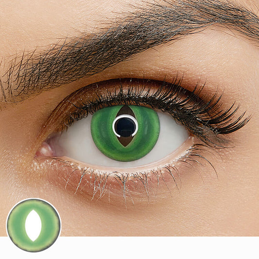 V22 British Shorthair Green contact lenses