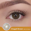 Chagall Brown | 1 Year